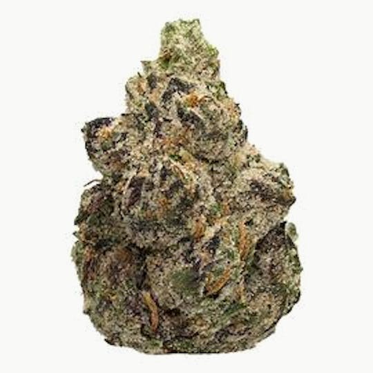 Frostiez - Bolo Runtz - NEW DROP - PREMIUM FLOWER - Hybrid - 1