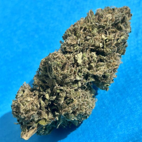 Daedalus Craft Cannabis - $100 Ounce of the Day - Crescendo Remix - 1