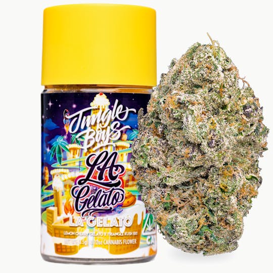 Jungle Boys - Jungle Boys | LA Gelato - 3.5g Jar - 1