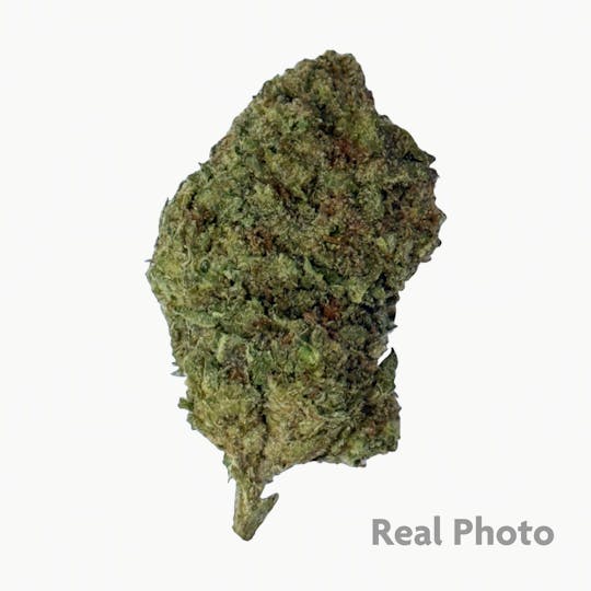 Stingers - Creamsicle - 14 gram - 1