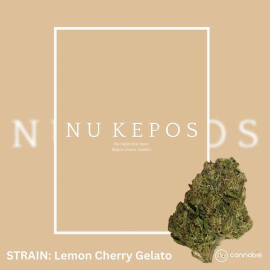 Nu Cannabis Brand - Kepos - Lemon Cherry Runtz 3.5g - PREMIUM FLOWERS - 1