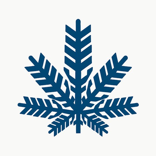 Snowblind Cannabis - Citrus Scout - 1
