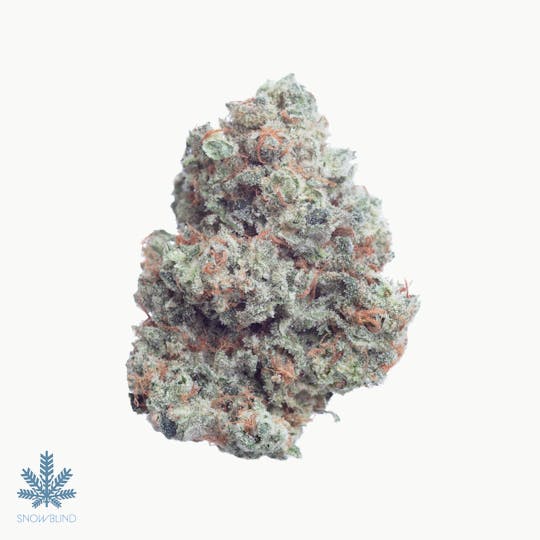 Snowblind Cannabis - Banana Pie-Paya - 1