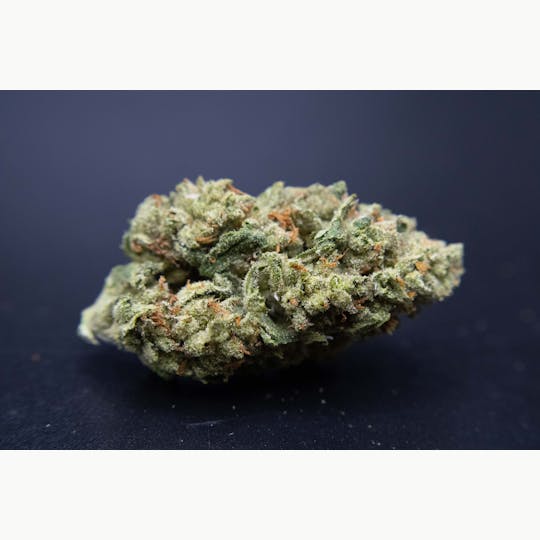 Trusty Transportations - White Truffle 8th/3.5grams(21%THC, Indica) - 1