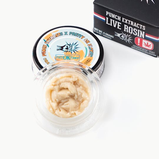 Punch Edibles & Extracts - Orange Blossom Silver Tier Live Rosin Cold Cure Badder (4g) - 1
