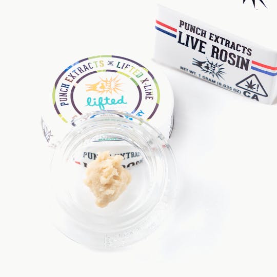 Punch Edibles & Extracts - Dirty Honey Berry Tier 4 Live Rosin Cold Cure Badder (1g) - 1