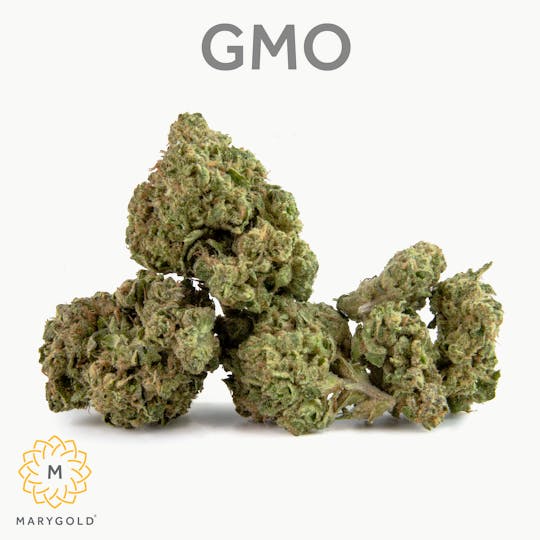 Marygold - GMO 3.5g - 1