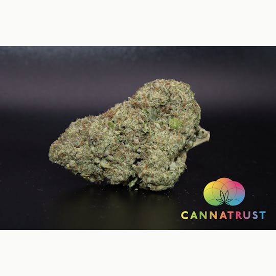 Trusty Transportations - Dutch Treat 1/2 Ounce/14Grams(30%THC, Hybrid) - 1