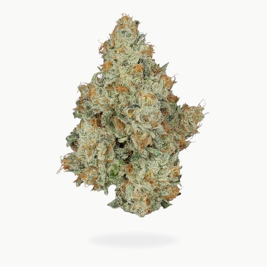 Green Truck - Green Truck - Apricot Scone - 1