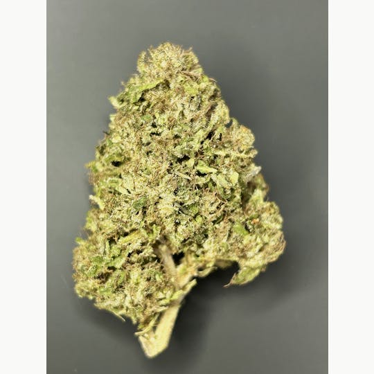Daedalus Craft Cannabis - Lemon Kush - CBD Flower - 1