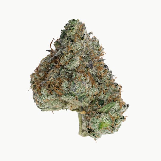 Green Truck - Green Truck - Truck Club Half Ounce: Blue Zushi - 1