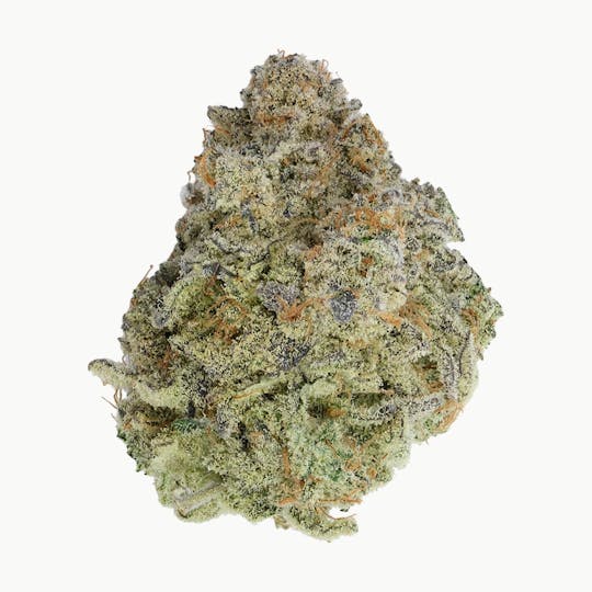 Green Truck - Green Truck - Truck Club Half Ounce: Daily Grape - 1
