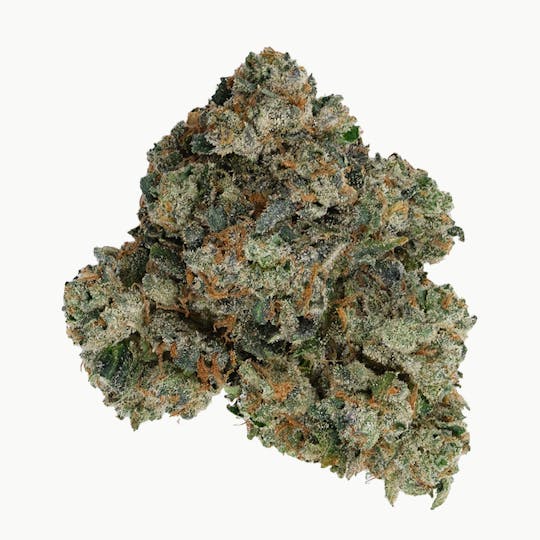 Green Truck - Green Truck - Truck Club Half Ounce: Jokerz - 1