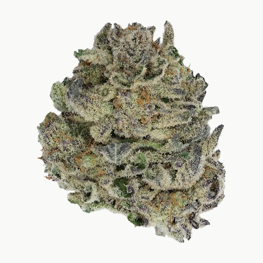 Green Truck - Green Truck - Truck Club Half Ounce : Orange Cookies Mac - 1