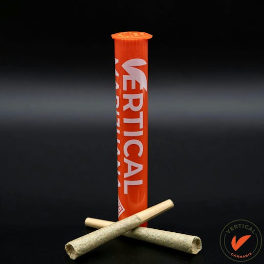 Vertical Cannabis - Vertical | 2pk Pre-Roll (1g) - Honey Bee - 1