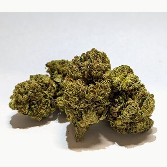 Glenna's - GovernMint Oasis 3.5g Flower - 1