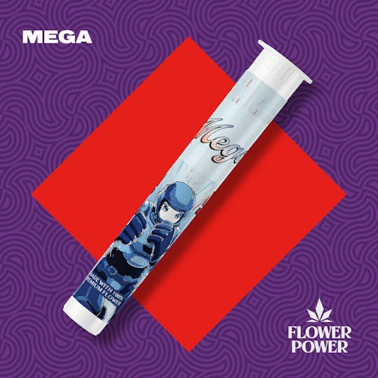 Flower Power Cannabis - Mega 1G Preroll - 1