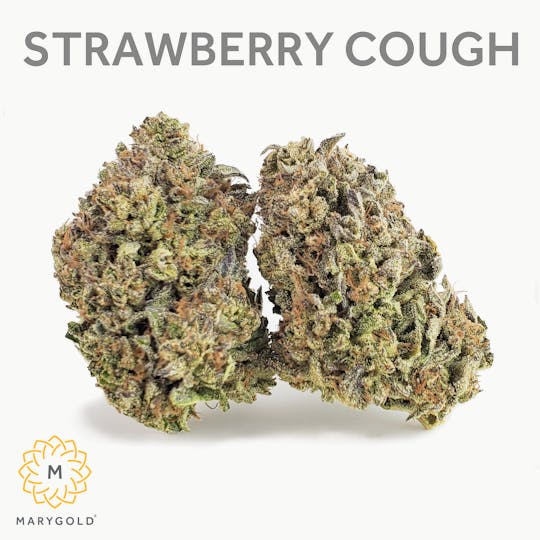 Marygold - Strawberry Cough 14g - 1