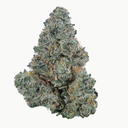 Allure - Strawberries and Cream| Exotic Indoor | Hybrid 37.54% THC - 1