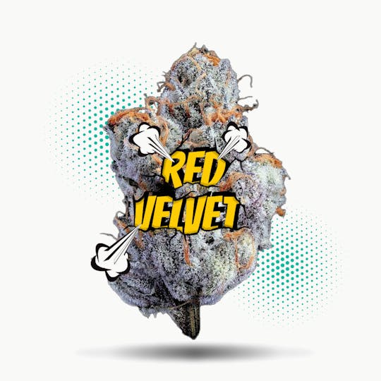 Frostiez - Red Velvet - Topshelf Indoor - New Drop - Hybrid - 1