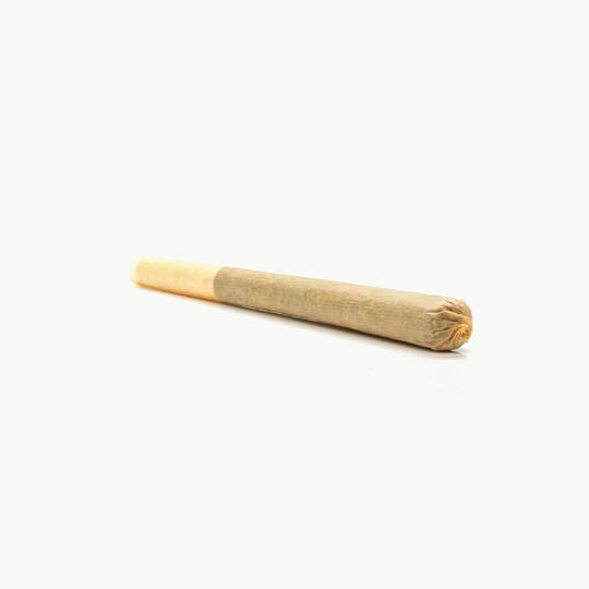 SAVAGE - Purple Punch 1.2g Kingsize Preroll - Indica - 1
