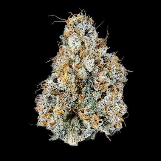 Auraz - Premium Flower | Gary Peyton - 1