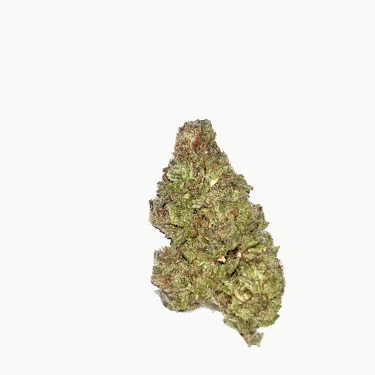 Dynastree - Apple Jack I 50% I 50%S - 1