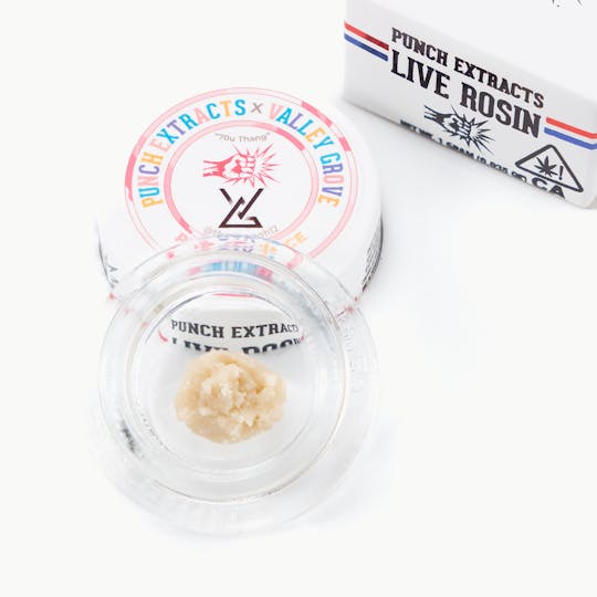 Punch Edibles & Extracts - Pink Gak Juice Tier 3 Live Rosin Cold Cure Badder (1g) - 1