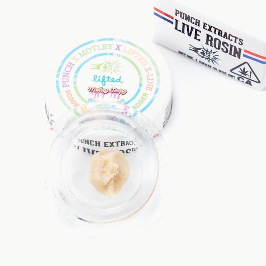 Punch Edibles & Extracts - Scooby Grillz Oasis Tier 4 Live Rosin Cold Cure Badder (1g) - 1