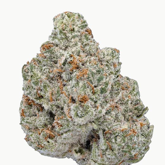 Frostiez - Marathon OG (3.5g - 1/8oz) - Topshelf Indoor - Hybrid - 1