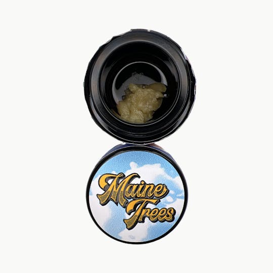Indico - Papaya 1g Live Rosin - Maine Trees - 1