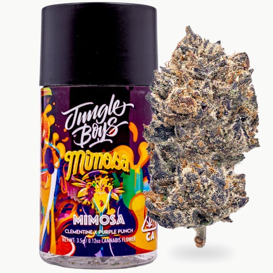 Jungle Boys - Jungle Boys | Mimosa - 3.5g Jar - 1