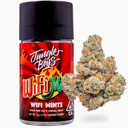 Jungle Boys - Jungle Boys | Wifi Mints - 3.5g Jar - 1