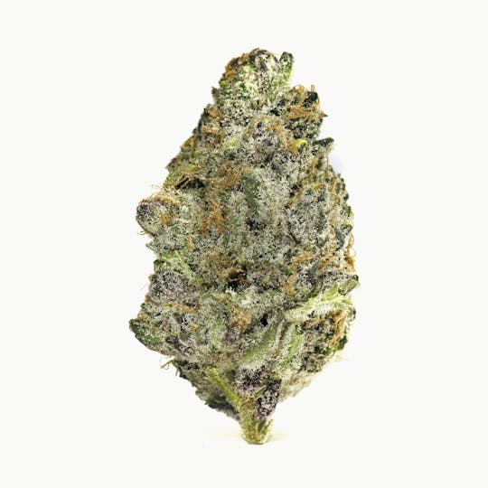 Frostiez - Super Boof - Topshelf Indoor - New Drop - Hybrid - 1
