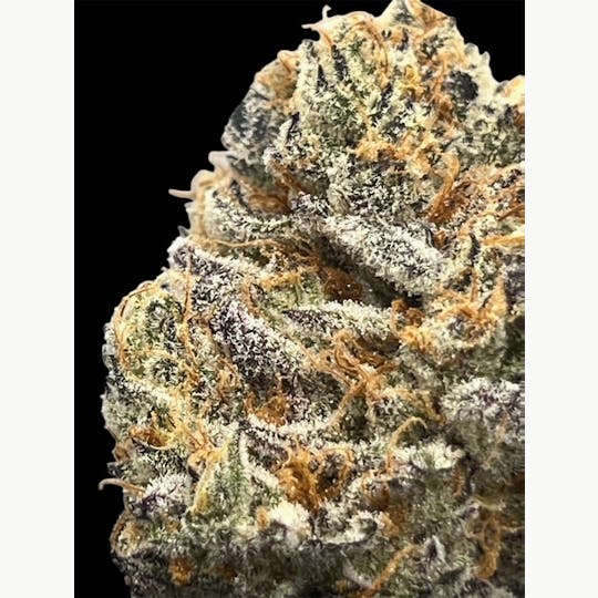 SIRIUS RESEARCH LLC - GARLIC CRUSHER 3.16% TERPS (SIRIUS EXCLUSIVE) - 1