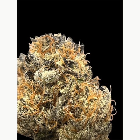 SIRIUS RESEARCH LLC - WATERMELON MARTINI 1.8% TERPS (SIRIUS EXCLUSIVE) - 1