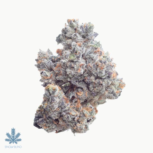 Snowblind Cannabis - Gary Payton - 1