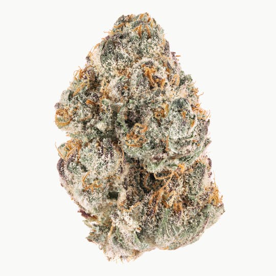 Za - kim ZArdashian Tropsicle Flower 7g - 1