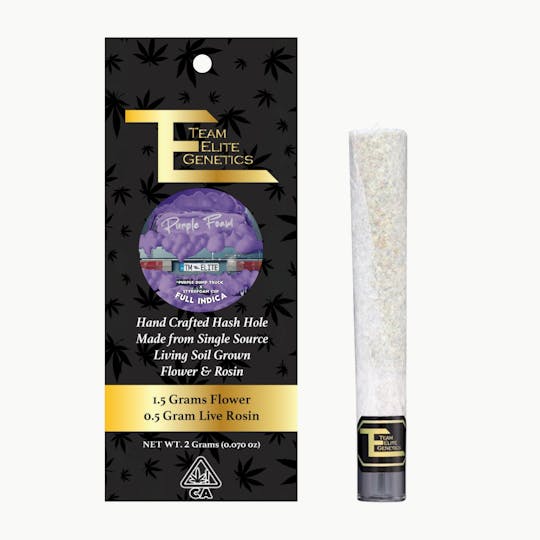 Team Elite Genetics - Purple Foam Hash Hole - 1