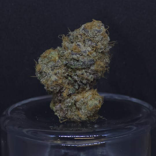 BAM Alaska - GSC .5g - 2 Pack - 1