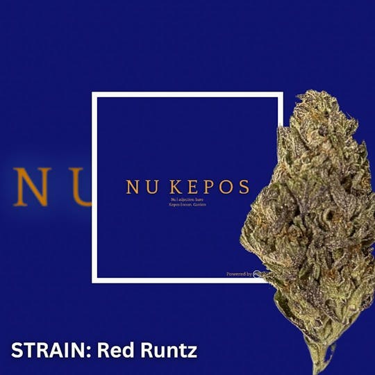 Nu Cannabis Brand - Kepos - Red Runtz 3.5g - PREMIUM FLOWERS - 1