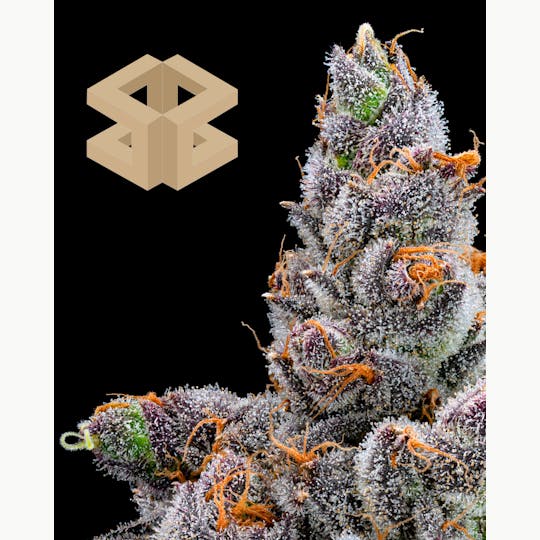 Burly Botanicals - Burly Botanicals | Money Ball #2 | Flower - 1