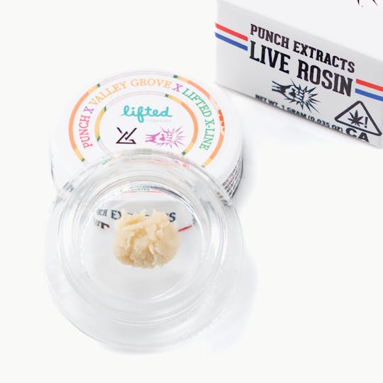 Punch Edibles & Extracts - Papaya Funk Mountain Tier 4 Live Rosin Cold Cure Badder - 1