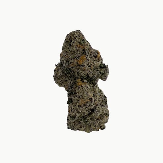 Indico - Slumplord - Unicorn Tears - 1