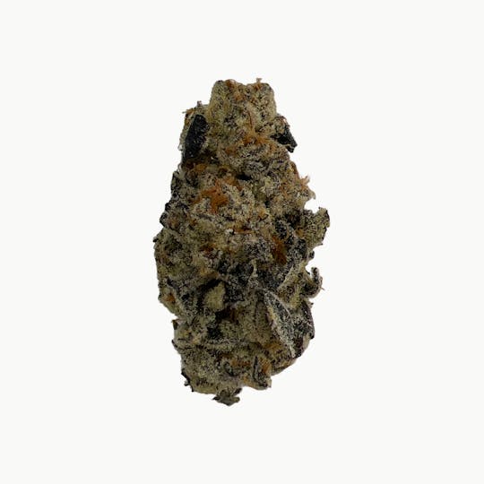 Indico - Buzz - Unicorn Tears - 1