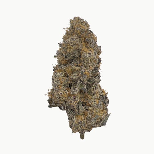 Indico - Boovv - Unicorn Tears - 1