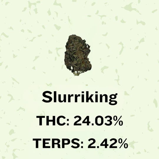 Honeydew - Slurriking - 1