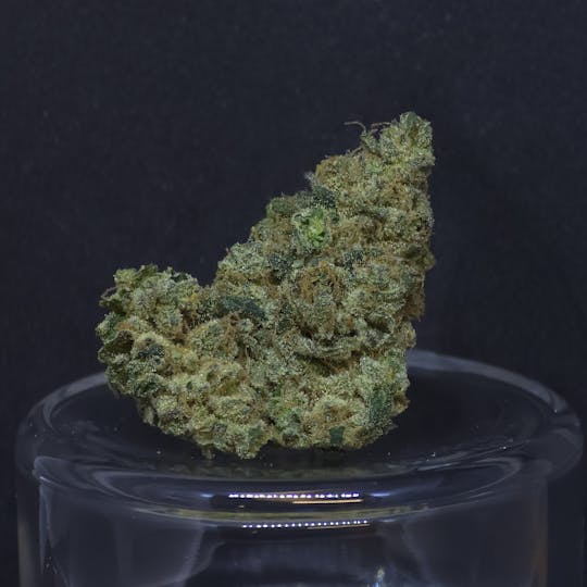 BAM Alaska - Tropical Orange 1g Pre-Roll - 1