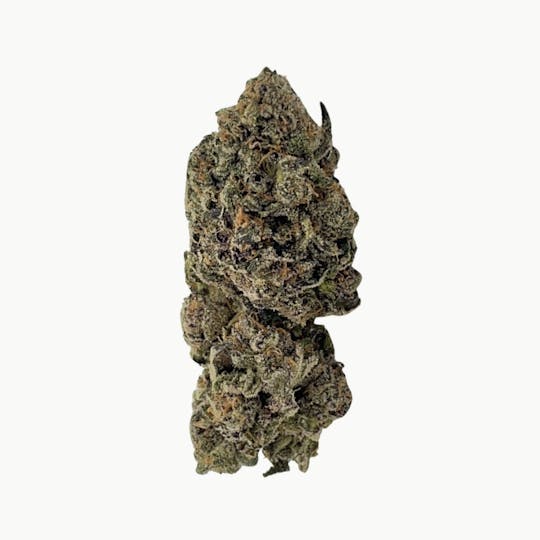 Animal - Purple Punch - Indica - 29% THC - 1
