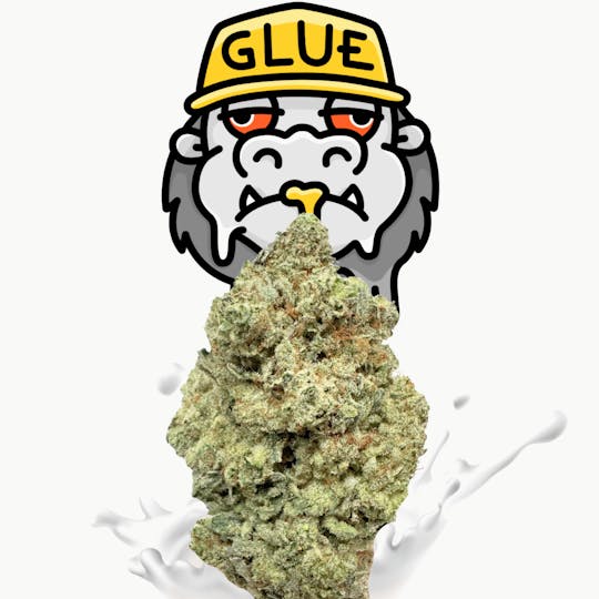 SUPPLY LA - Original Gorilla Glue | Top Shelf | Indoor | 28G | Ounce - 1